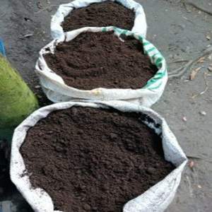 Fertilizante Orgánico de Compost de Vermicompost Indio 100% Natural, Fresco y Orgánico de 1 Kg - Calidad de Exportación a Excelente Precio - Product Image 1
