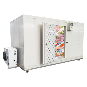 Chambre froide mobile compacte sur mesure, chambre froide portable à économie d'énergie, mini-chambre froide pour ferme, restaurant, supermarché - Product Image 3