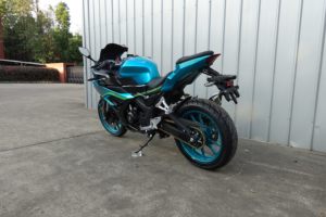 Moto de course à grande cylindrée 367cc avec système EFI, fournisseur d'usine ALOPEX II, moto de course pour adultes ALOPEX II - Product Image 3