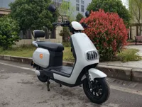 Moto électrique à succès 1000-2000W, cyclomoteur électrique 60V/72V