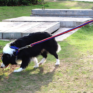 Collar de perro mascota de cuerda trenzada de nailon hecho a mano de los fabricantes para perro mascota - Product Image 5
