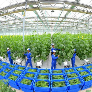 Wholesale PE Planting Bag Seedling Grow Bags Planting Strips Fruits <b>Vegetable</b> Farm Greenhouses Hydroponic Cultivation - Product Image 6