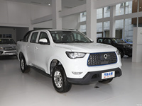 Camioneta Eléctrica Usada en Ucrania, 0 Tarifas, Changcheng Great Wall Poer 2023 2024, Camioneta Eléctrica, Fabricante Chino, Auto Deportivo Eléctrico