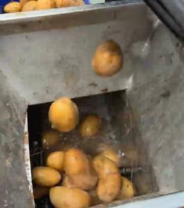 Máquina para limpiar patatas y batatas, elimina la suciedad sin dañar la piel. Pequeña lavadora de patatas de acero inoxidable - Product Image 4