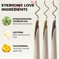 Kit de Structuration des Sourcils à la Vitamine E Hydratant, Logo Personnalisé, Tenue Toute la Journée, Set Crayon et Gel 3D pour Sourcils en Boîte