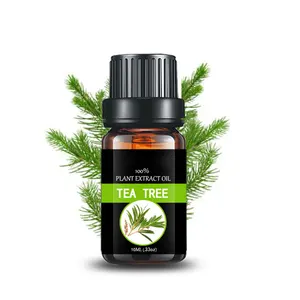 Óleo de hidrosol puro da árvore do chá, óleo de melaleuca alternifolia