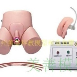 Modelo avanzado de cateterización electrónica; modelo intuitivo de práctica para la anatomía de las partes genitales internas y externas masculinas y femeninas. - Product Image 3