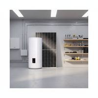 Calentador de Agua Fotovoltaico de Alta Eficiencia, Seguro y Duradero, con Inversor Eléctrico Dual Aplicable Globalmente, 60/80/120L, Personalizable con Logotipo/Caja