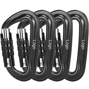 Bitjoy Best Selling Keychains Carabiners Hook Custom Climbing Locking Carabiner