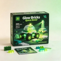 Juego de Bloques de Construcción de Plástico para Niños - Juguete de Construcción de Casas, Compatible con Personalización ODM, Diseño Personalizado Disponible