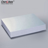 Papier autocollant vinyle jet d'encre mat argenté imprimable A4 imperméable pour étiquettes de marque et d'emballage