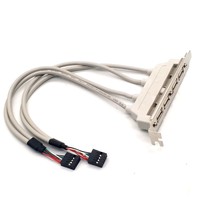 DFX USB 2.0 2/4 Port Konduktor Tembaga Murni Jaket PVC 30Cm 9-Pin Kabel Ekspansi Panel Belakang Header Mainboard untuk Motherboard