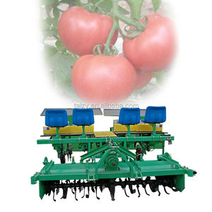 เครื่องปลูกต้นหอมแบบ6แถวเครื่องปลูก<span class=keywords><strong>ต้น</strong></span>หอมจีน - Product Image 1