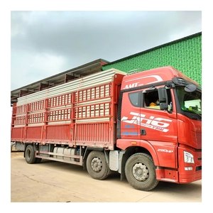 10% Rabatt auf 30-200mm MGO EPS/XPS/PUR/PIR Sandwichpaneele, Strukturelle Isolierte SIPs - Product Image 5