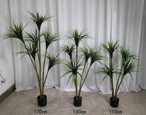Plantas artificiales de Dracaena <span class=keywords><strong>Draco</strong></span>, <span class=keywords><strong>árbol</strong></span>es, Cycas Yucca, venta al por mayor, fábrica, AF7005 - Product Image 4