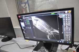 Macchina Portatile per Radiografie Veterinarie di Alta Qualità con Batteria Ricaricabile - Product Image 3