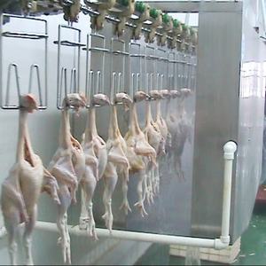 Eruis lal kuş kesim tesisi otomatik kanatlı işleme hattı boşaltıcı - Product Image 2