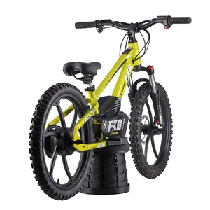 FXB Style 20eDrive Brushless Hub Moteur <span class=keywords><strong>Moto</strong></span> Électrique 36V Balance Bike - Product Image 4
