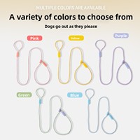Laisse pour chien en nylon tressé en gros, laisse d'entraînement tout-en-un avec collier coulissant, corde à boucle réglable pour petits et moyens chiens, personnalisable OEM