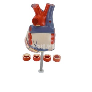 4/ - Product Image 1