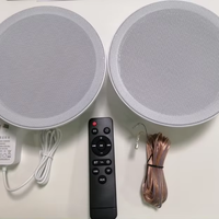 Haut-parleur de plafond étanche avec radiateur basse pour salles de spa et sauna