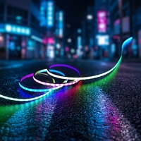 Bande lumineuse LED néon flexible en silicone ultra-fine 4*3mm DC5V USB RGBIC WS2812 IP67 étanche et adressable pour la décoration de voiture DIY