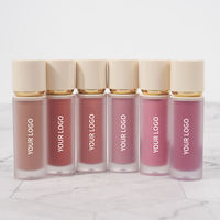 Blush liquide vegan imperméable à l'eau à haute teneur en pigments fard à joues liquide de marque privée