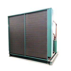 Unité de condensation par évaporation pour réfrigération, compresseur à réfrigérant Freon économe en énergie pour chambre froide de légumes - Product Image 6