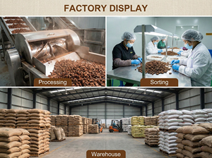 Anís Estrellado <span class=keywords><strong>Gourmet</strong></span>, Selección Premium de Especias, Bolsa de Kraft de 200g, Ideal para Talleres Culinarios, Cocinas Artesanales y Sets de Regalo para Amantes de la Gastronomí<span class=keywords><strong>a</strong></span> - Product Image 5