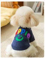 Abrigo de Invierno de Lujo para Perros y Gatos, Personalizado, Elegante, de Poliéster, para Cachorros de Chihuahua