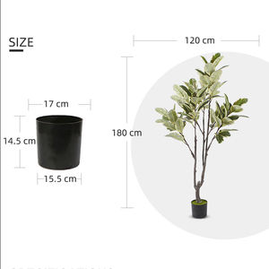 شجرة بلوط اصطناعية بطول 170 سم، نباتات اصطناعية، شجرة مطاطية بحواف بيضاء وأوراق خضراء للديكور الداخلي للمنزل - Product Image 5