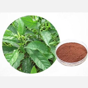 Polvo de extracto de hoja de Daqingye <span class=keywords><strong>Isatis</strong></span> de grado alimenticio natural 1% EXTRACTO DE Indirubin Folium Isatidis Indigotica - Product Image 1