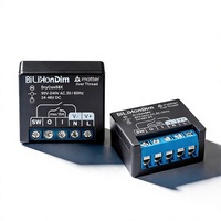 Module de commutation à contact sec BiLiHonDim Matter Over Thread, personnalisable OEM, garantie d'un an
