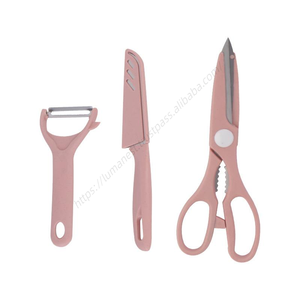 Lot de 3 ciseaux de cuisine multifonctionnels en acier inoxydable WXL027 pour la maison, éplucheur et couteau à fruits - Product Image 1