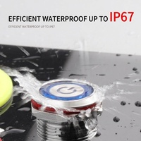 Interrupteur à bouton-poussoir momentané avec logo personnalisé, 16A, 1NO, étanche, contrôle d'automatisation industrielle, matériau en laiton, niveau IP67, max 220V