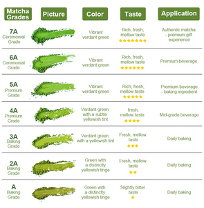 Té Matcha Japonés de Marca Privada, Grado Ceremonial Premium 1A - 8A, Matcha en Lata de 30g, Té Verde Matcha Orgánico en Polvo - Product Image 4