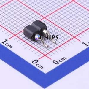 MF254RS-11-02-0743 Pin Socket SMD,P=2.54mm,Horizontal Mount Connector 1x2P 2.54mm Round Hole Horizontal Mount - Product Image 1