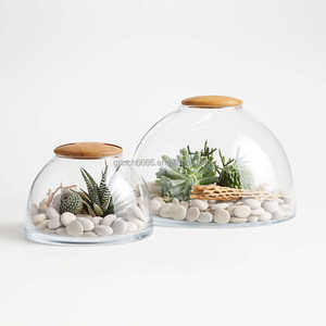 Das kuppel förmige Glaster rarium beherbergt Miniatur-Ökosysteme Pflanz vase Glaster rarium mit Holzdeckel - Product Image 2