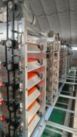 Cages en batterie pour poules pondeuses en plastique avec courroies pour la production d'œufs