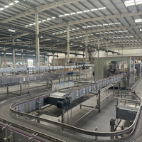 Equipo de Línea de Producción para Plantas de Bebidas con Certificación CE Sunswell