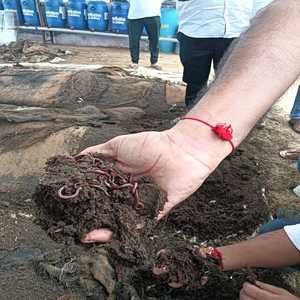 Vente à prix imbattable de compost organique indien de 1 kg - Qualité supérieure, qualité d'exportation - Product Image 1