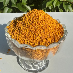 Pólen de Abeja Orgánico Fresco de Alta Calidad, Materia Prima de Pólen de Abeja Puro, 100% Pureza, Pólen de Abeja de Camelia - Product Image 1