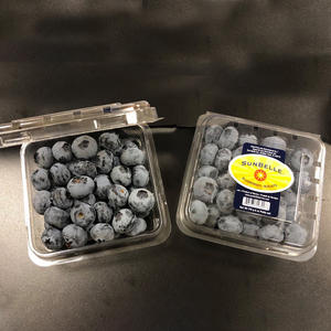 Caja de Embalaje de Plástico Transparente Personalizada para Frutas Frescas, Verduras, Arándanos, Fresas, Naranjas y Manzanas - Product Image 2