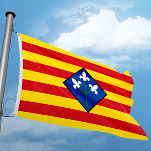 Personalizado 3x5FT Poliéster Publicidad Impresión digital Banderas de países Banner Durable para interior/exterior España Provincial <span class=keywords><strong>Lleida</strong></span> Bandera - Product Image 2