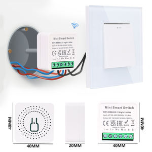 Bingoelec ミニ 2ウェイ Tuya <span class=keywords><strong>Zigbee</strong></span> スマートスイッチモジュール ワイヤレスコントロール ニュートラル付き スマートライトスイッチ 音声コントロール アリス対応 - Product Image 2