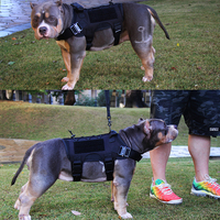 Arnes Para нашивками Perros Регулируемый Para adiesreamiento Transpirable Chaleco acolchado Arnes Tactico нашивками Perros