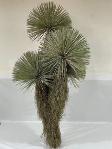 <span class=keywords><strong>Yucca</strong></span> <span class=keywords><strong>rostrata</strong></span> หุ่นไล่กาต้นไม้ทะเลทรายสัมผัสจริงสำหรับโรงแรมห้างสรรพสินค้าการตกแต่งภูมิทัศน์ - Product Image 4