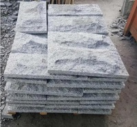 BOTON STONE Vente en gros de marches d'escalier en granit pour extérieur, surface polie, carreaux de sol en granit G655