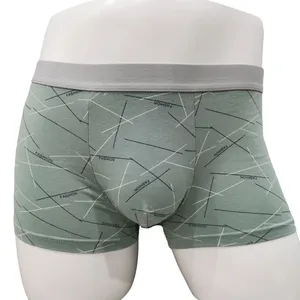 Stylish Young Men's Boxer Briefs Custom Logo Printed Quick Dry Shorts with Sexy Style Made Bamboo Fiber Cotton Nylon Pack Supply