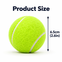 Jouet de balle de tennis couineur pour chien, pour le nettoyage des dents, rebondissant et interactif, jouet à mâcher d'entraînement pour chiens de petite, moyenne et grande taille
